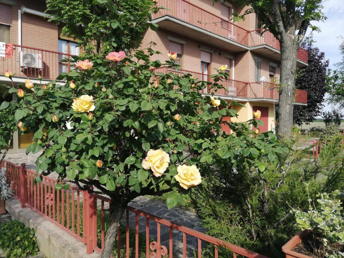 Gold B&B Ravarino Exterior photo